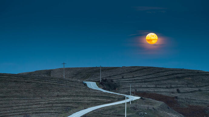 pexels-septimiu-lupea-271955805-35074258